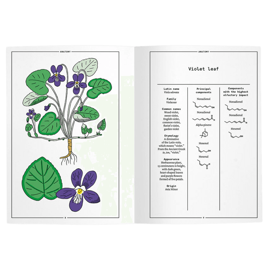 Nez - Violet Leaf in Perfumery booklet