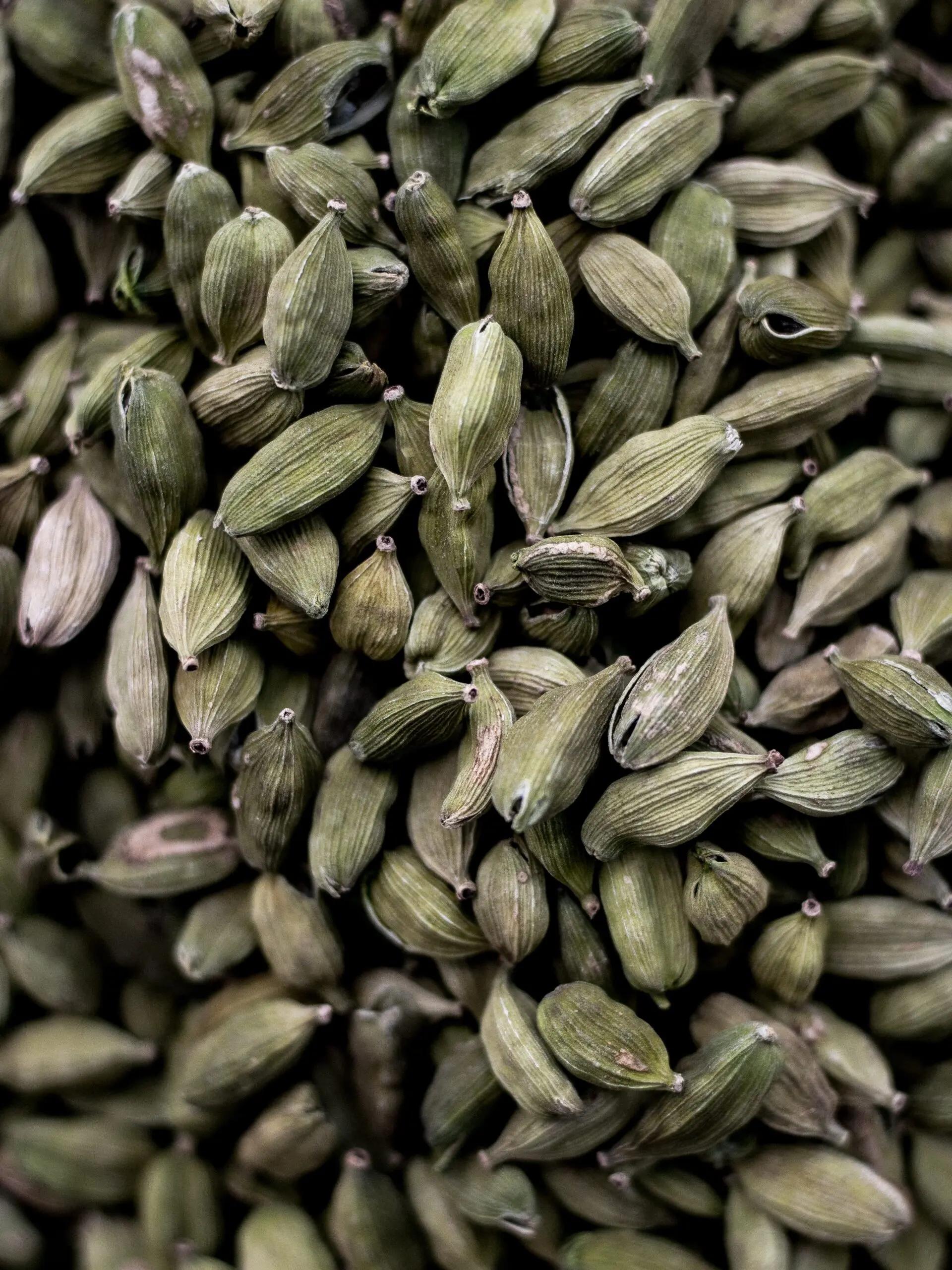 Best best sale cardamom fragrance