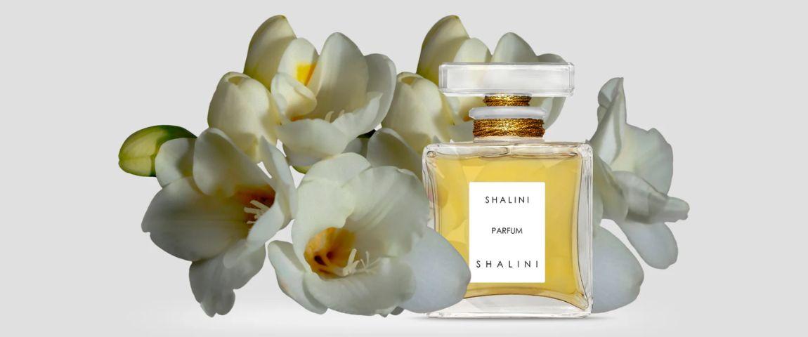 Shalini parfum banner