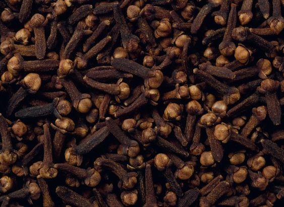 Clove | Kruidnagel | Perfume Lounge
