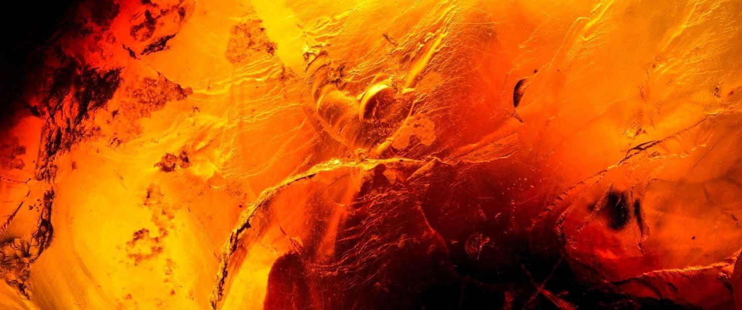 Amber perfumes - Amber parfums