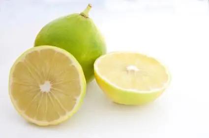 Bergamot | Perfume Lounge