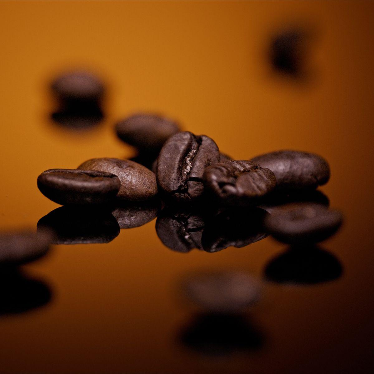 Caron - Oud Excelsa Eau de Parfum