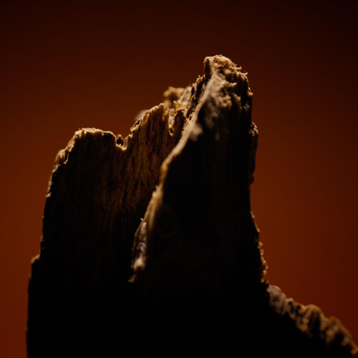 Caron - Oud Excelsa Eau de Parfum