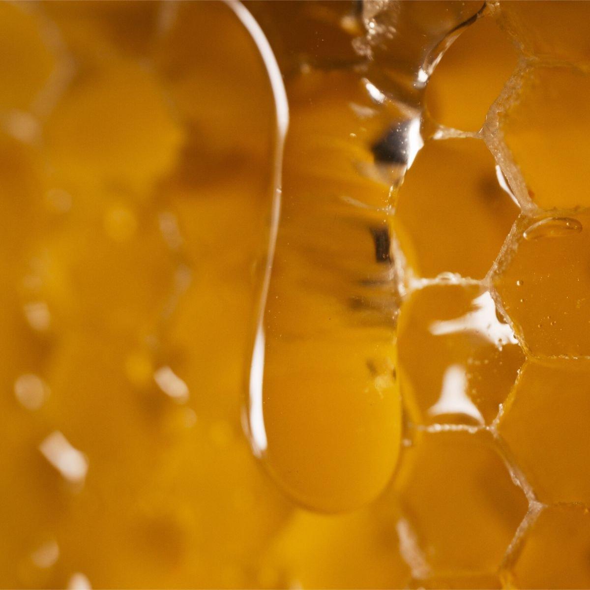 Caron - Pois de Senteur Parfum