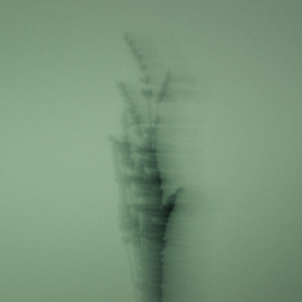 Caron - Pour un Homme de Caron Eau de toilette