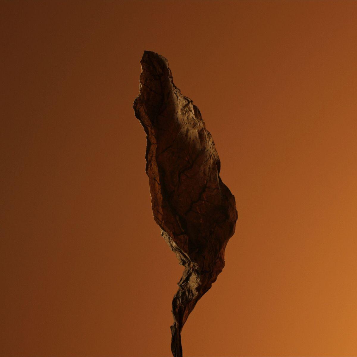 Caron - Tabac Exquis Eau de parfum