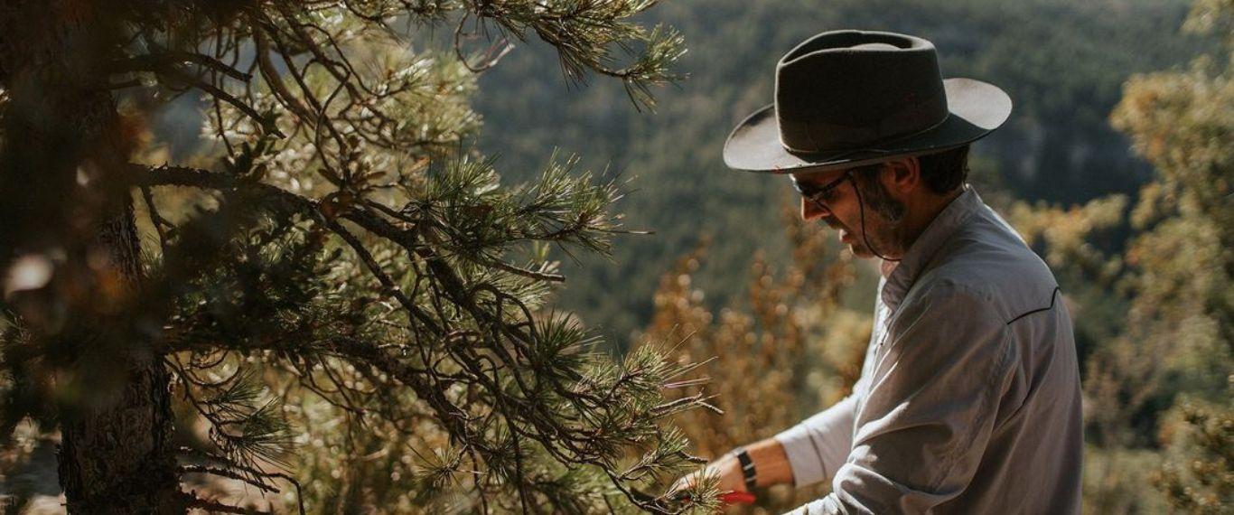 Ernesto Collado perfumer