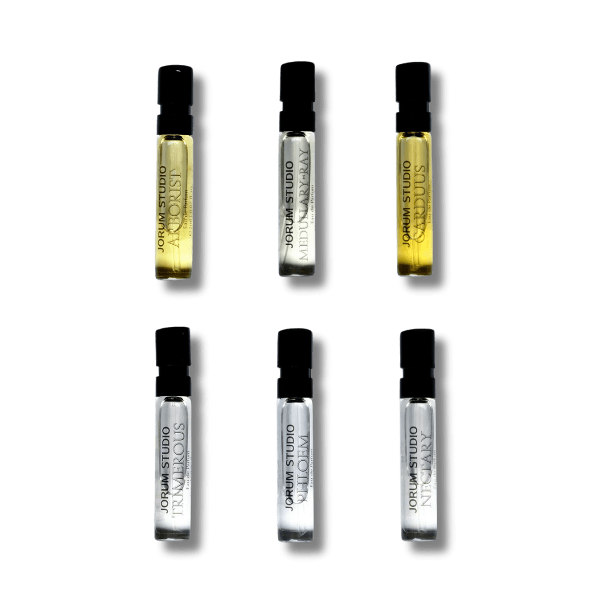 Image of Jorum Studio - Progressive Botany I discovery set