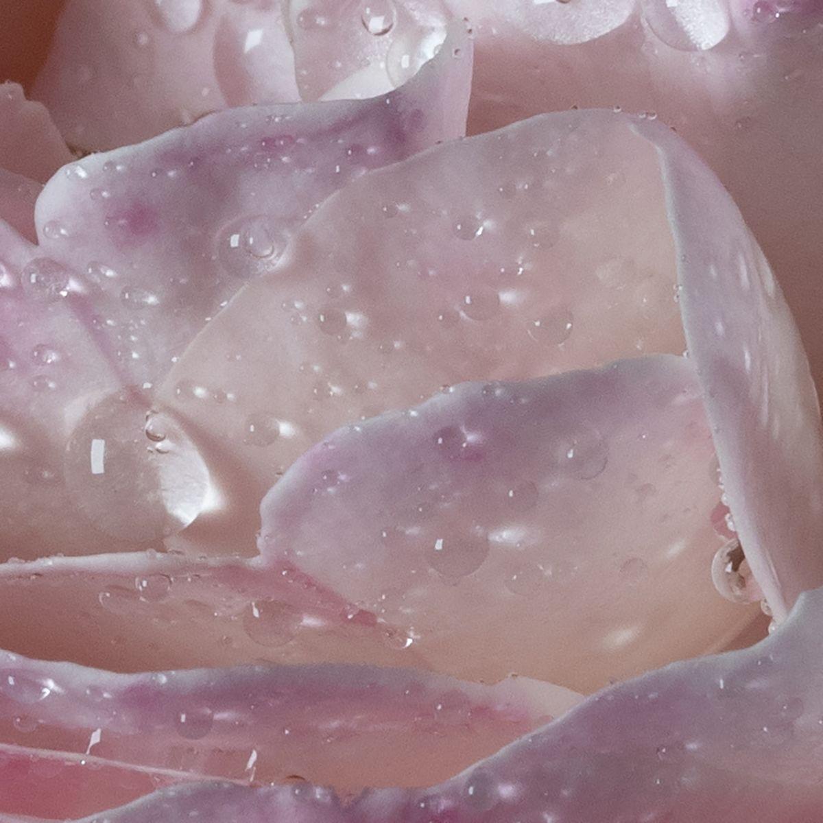 Maison Francis Kurkdjian - l'eau A la rose