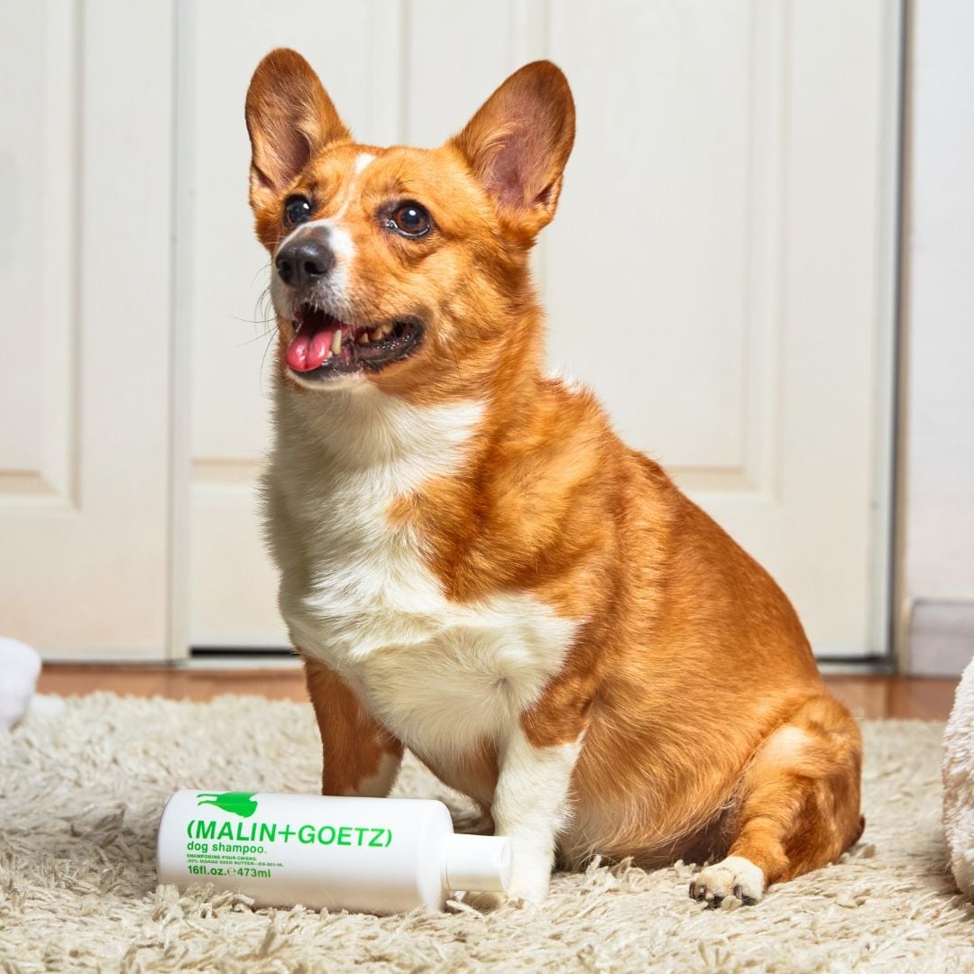 Malin + Goetz – Dog shampoo 473ml