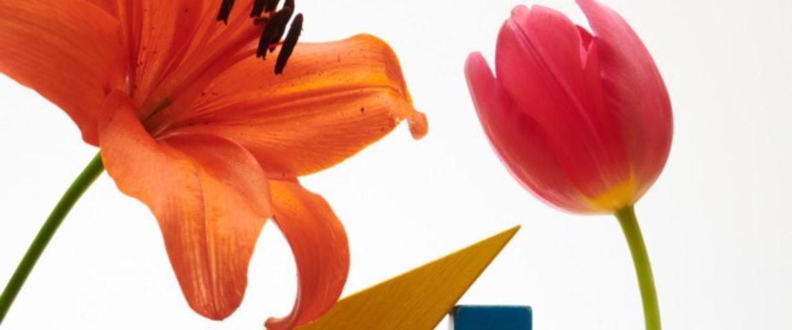 Mood cheerful