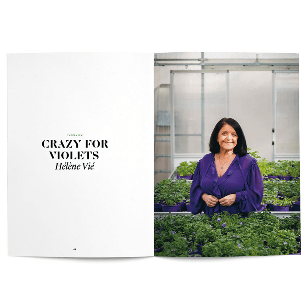 Nez - Violet Leaf in Perfumery booklet