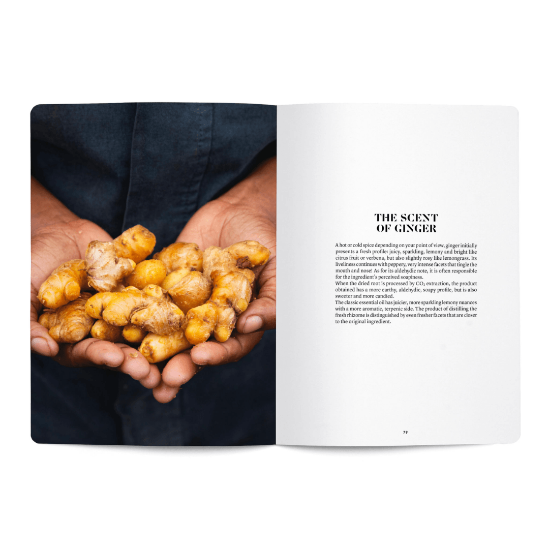 Nez – Ginger in perfumery booklet