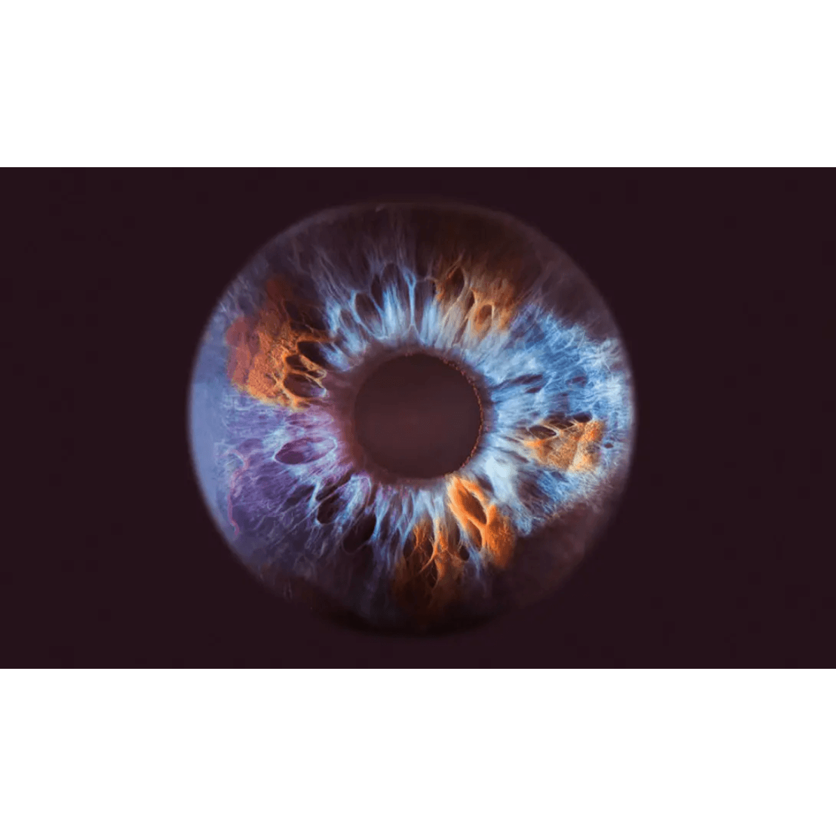 Olfactive Studio - Close Up foto photograph