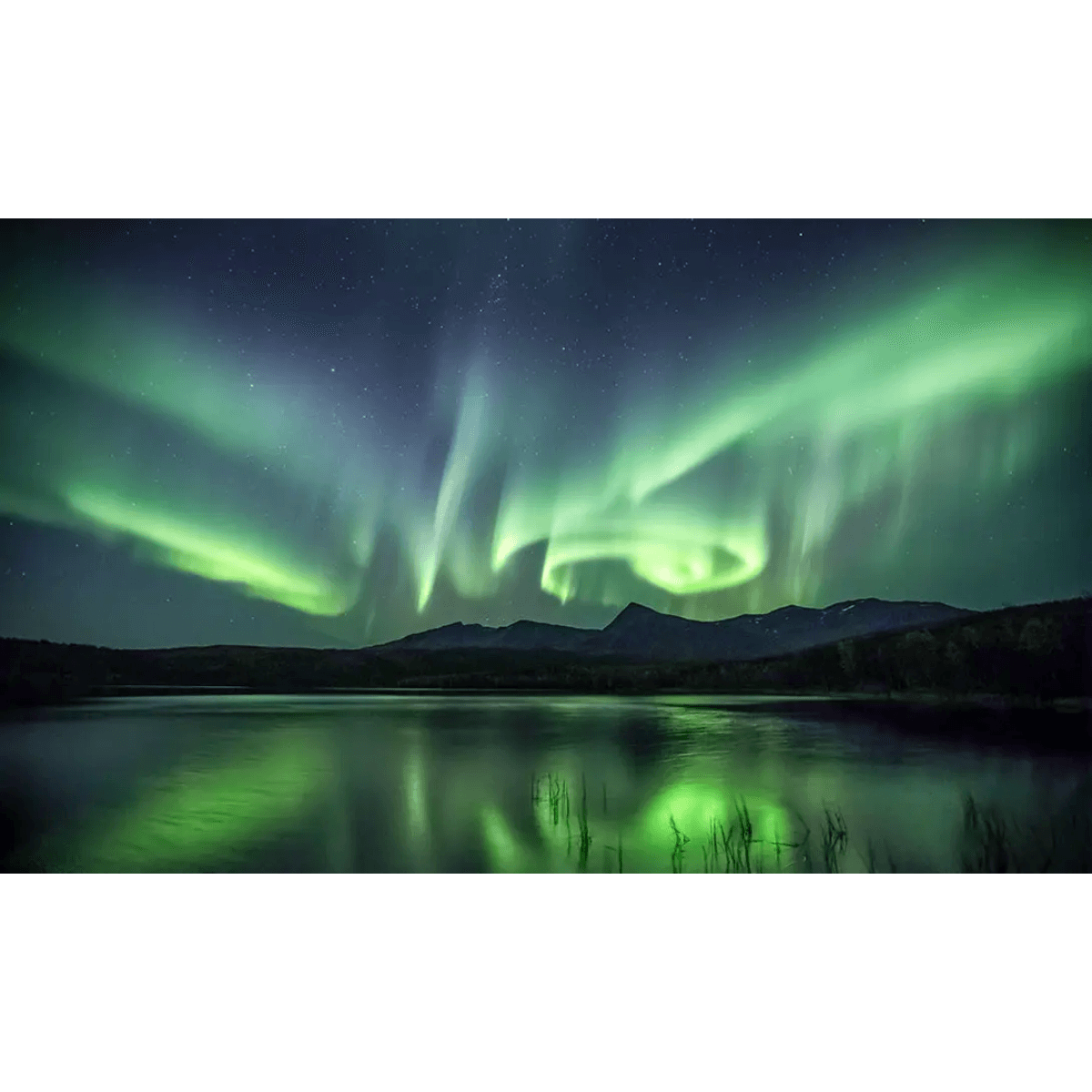 Olfactive Studio - Dancing Light