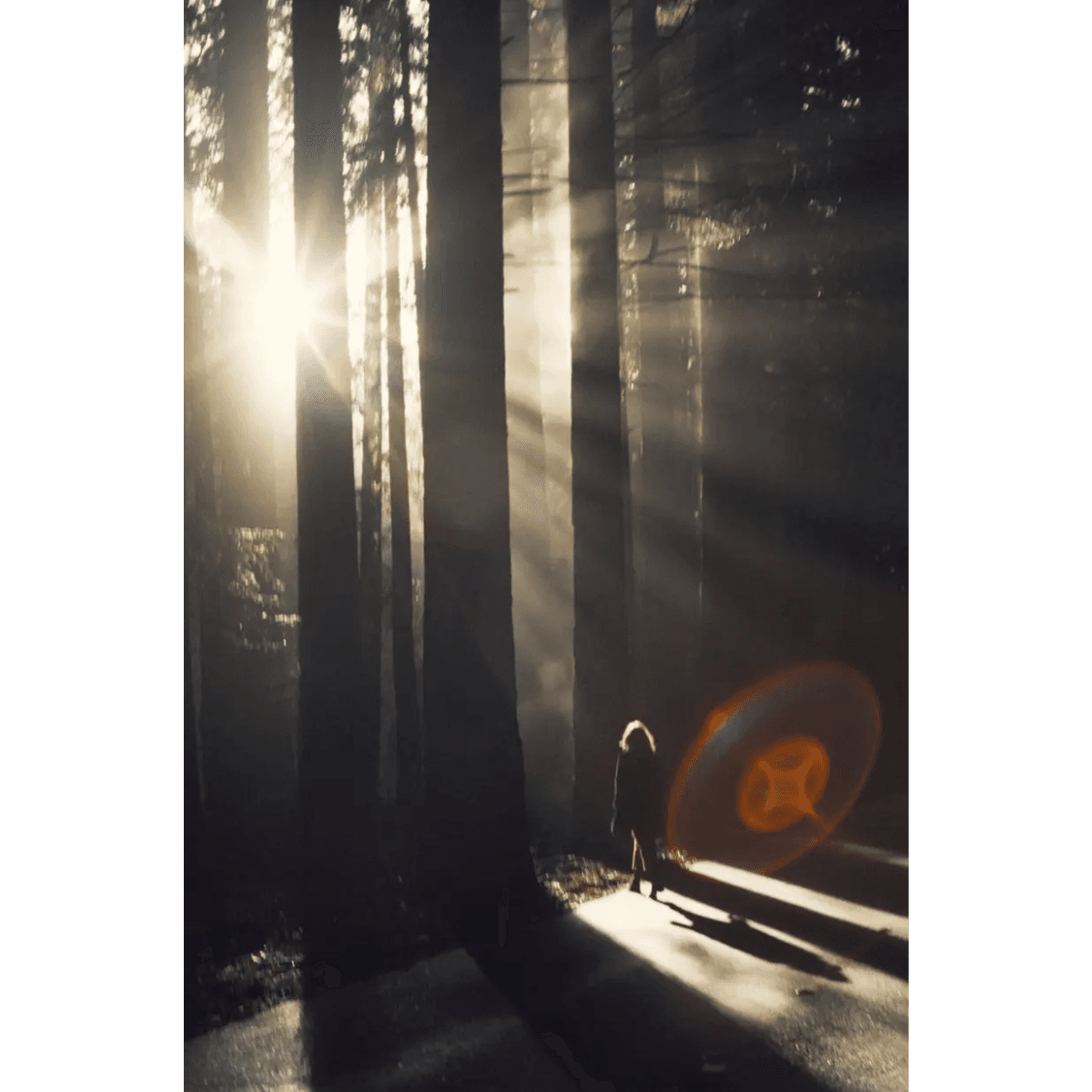 Olfactive Studio - Woody Mood