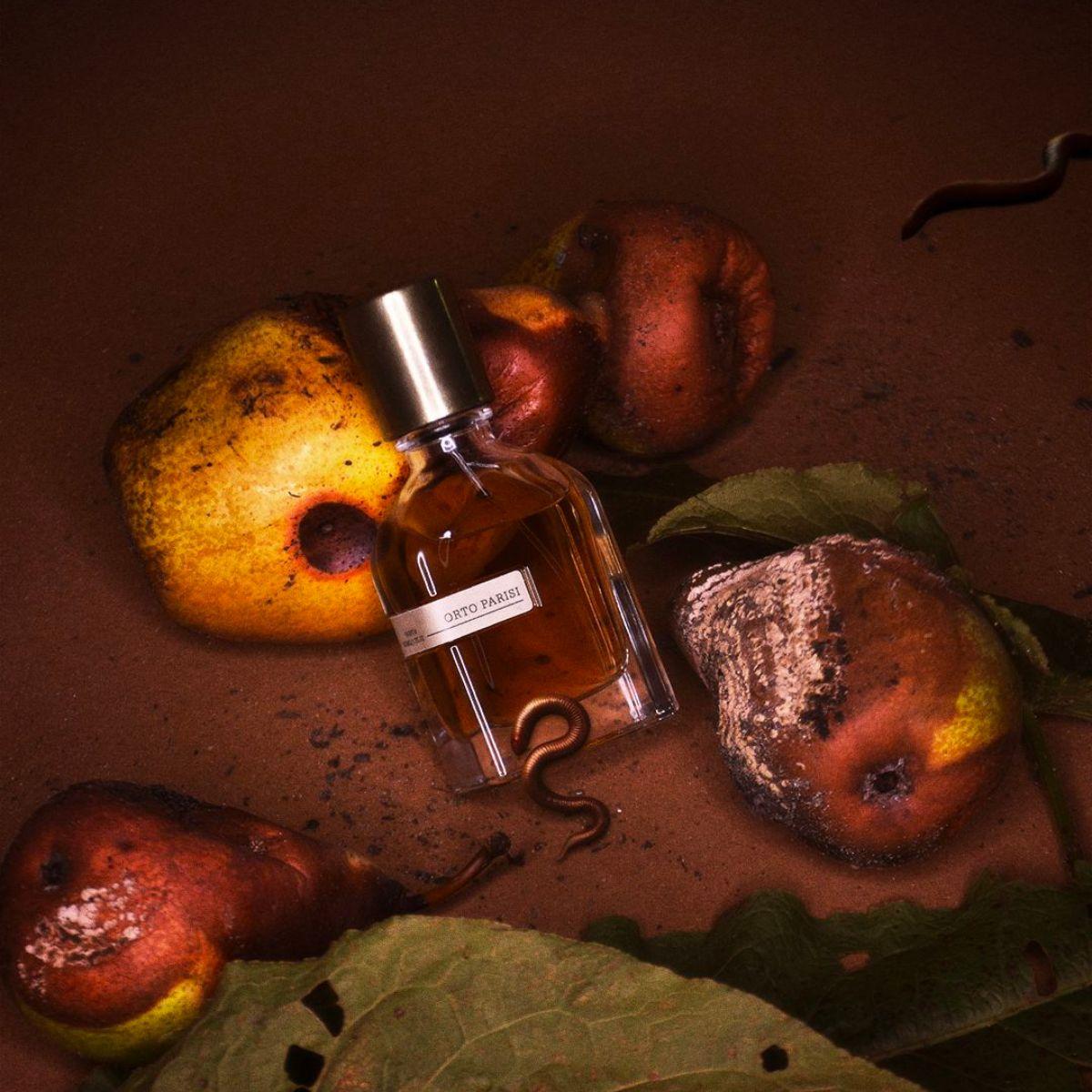 Image of Bergamask by the perfume brand Orto Parisi