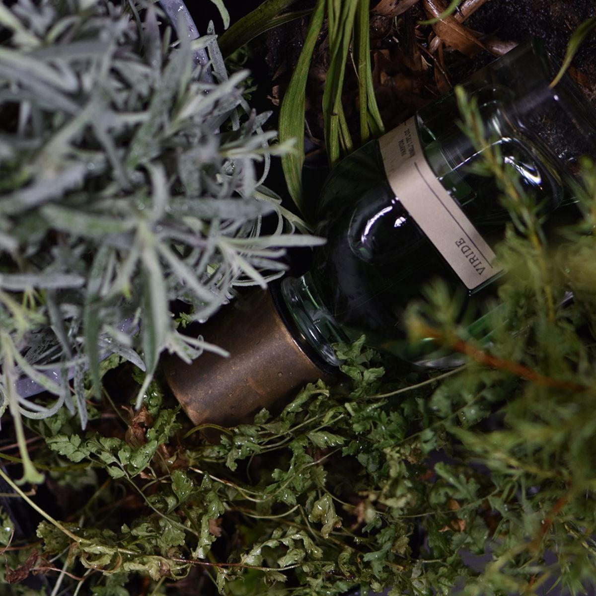 Afbeelding van Viride extrait de parfum 50 ml van het parfum merk Orto Parisi