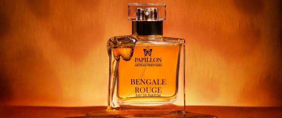 Papillon