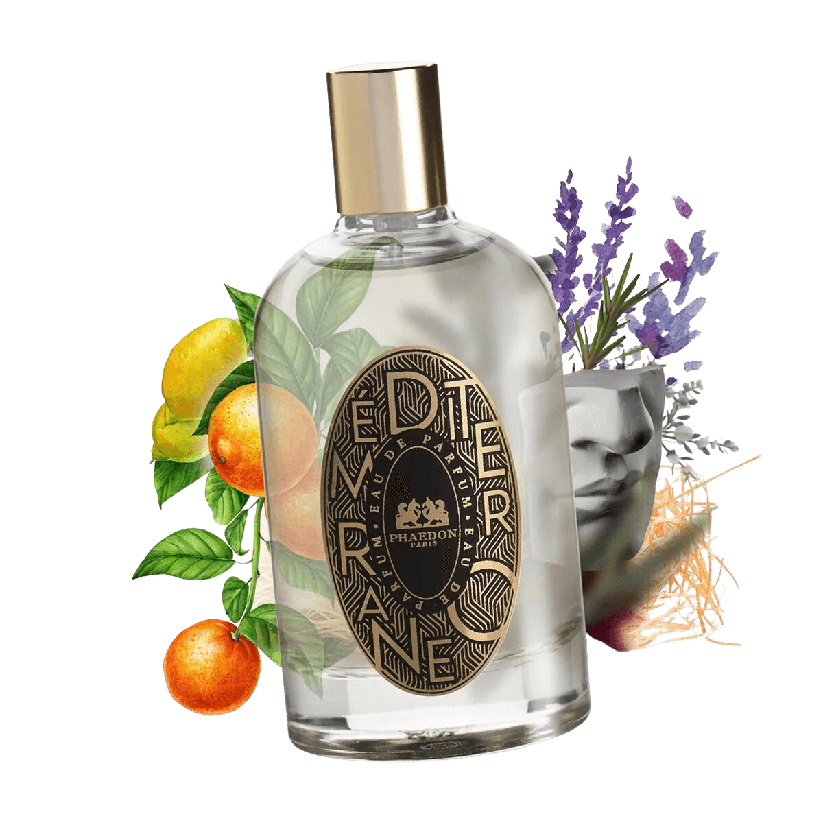 Phaedon - Mediterraneo