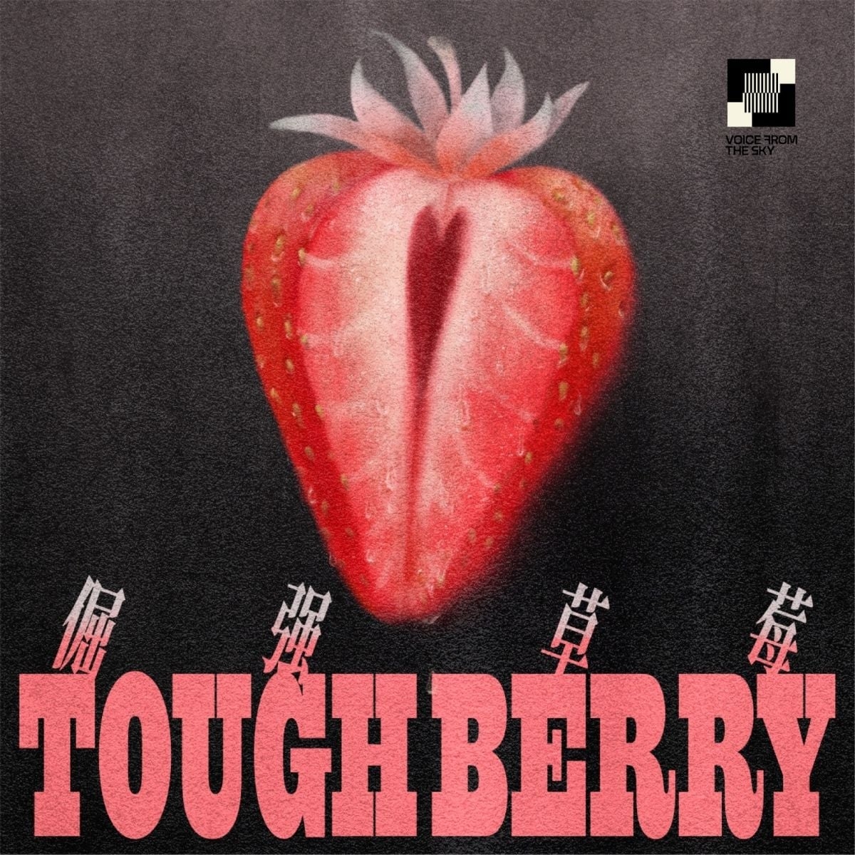 Voice From The Sky – Tough Berry Parfum