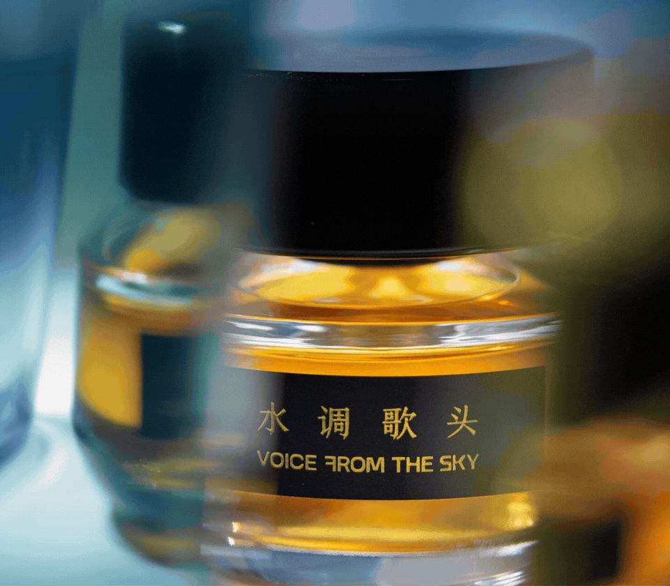 Voice From the Sky
