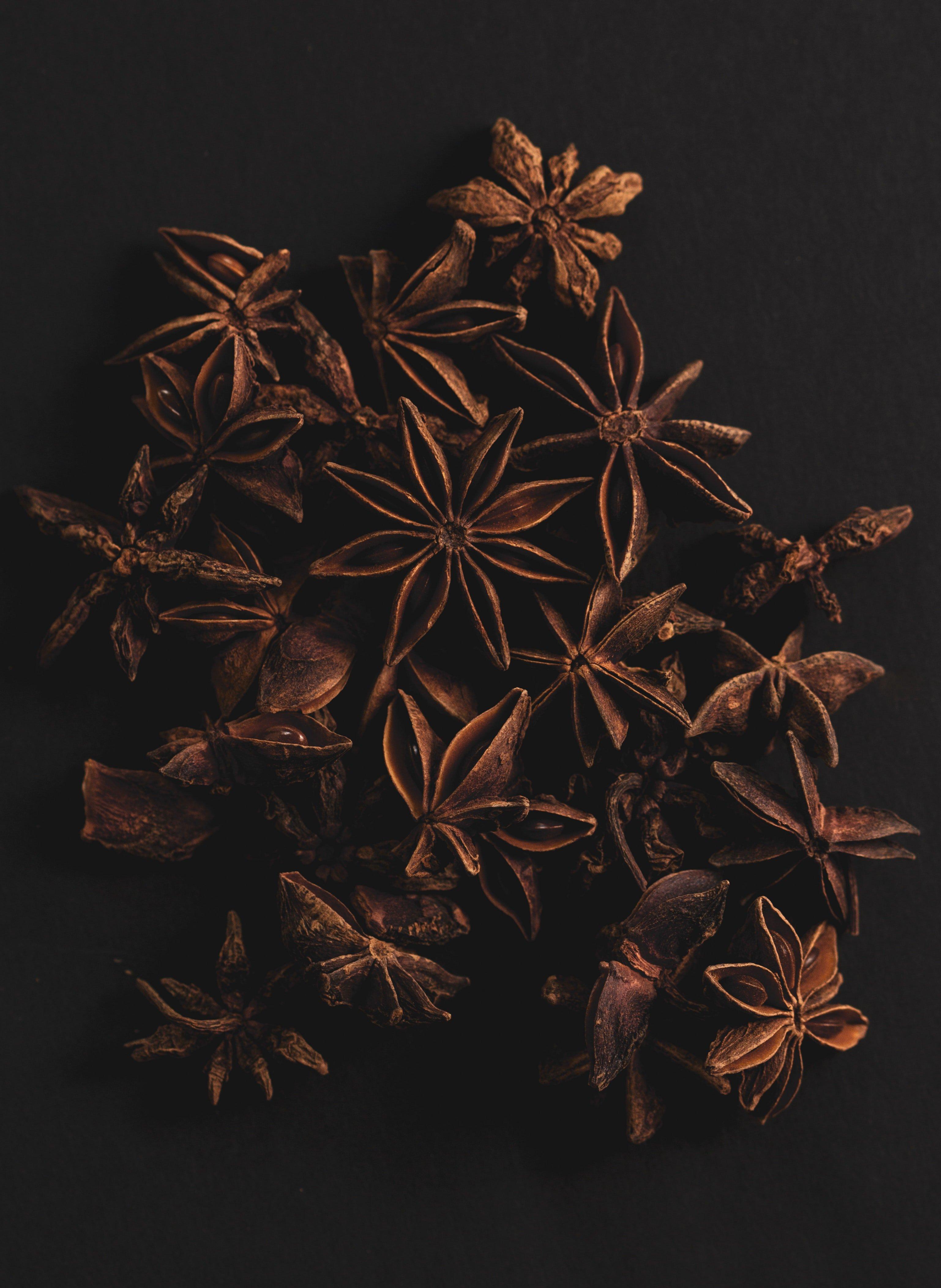 star anise | perfume lounge